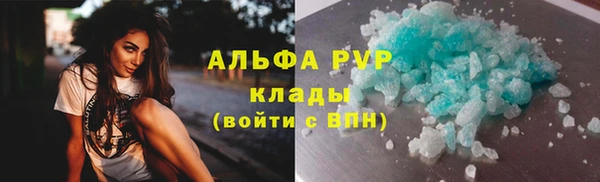 шишки Аркадак