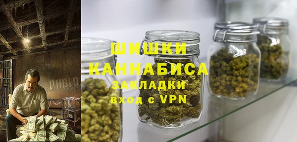 шишки Аркадак