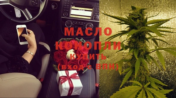 шишки Аркадак