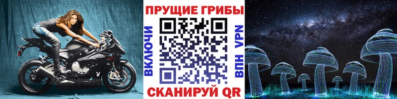 Псилоцибиновые грибы ЛСД  магазин    Волжский 